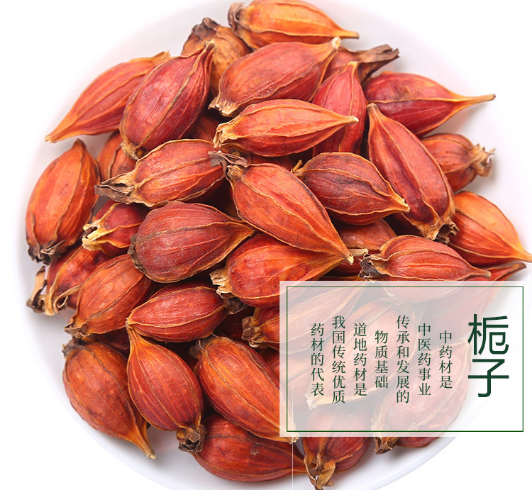 山梔子 傳統中藥材與現代應用