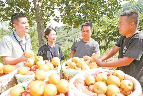 廣安“三端協同”發力，讓“廣字號”初級農產品走向廣闊市場