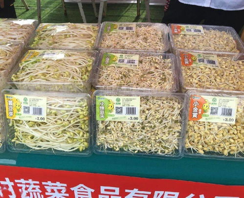 養(yǎng)老金上調(diào)惠及40余萬退休人員，路段施工提醒與科技成果對接活動預(yù)告